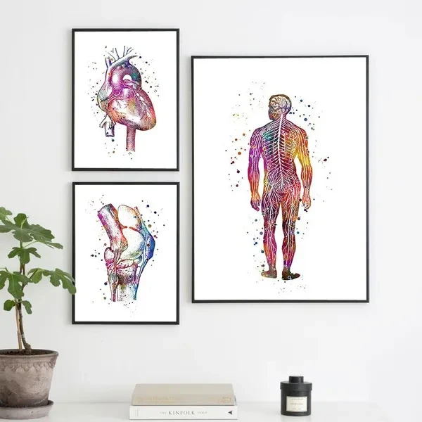 Abstract Anatomy Poster Nordic Style Canvas Wall Art Print Watercolor Meridian Painting for Medical Decor No Frame